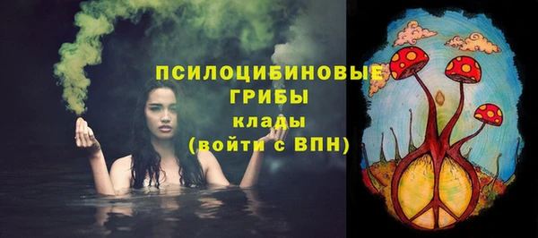 прущие крисы Алексеевка