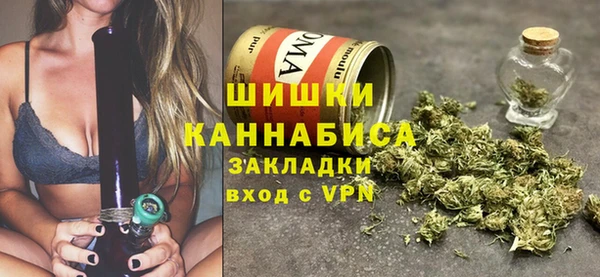 молекула духа Алексин