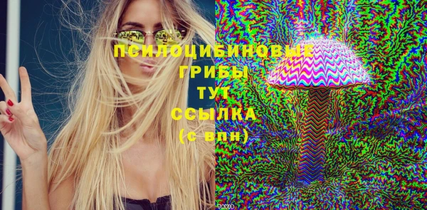 хмурый Алзамай