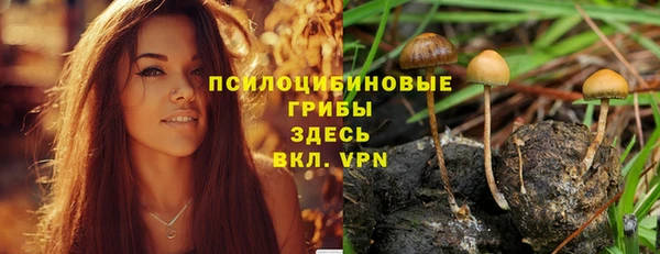 хмурый Алзамай