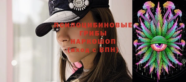 молекула духа Алексин
